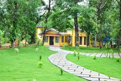 Vattakkuny Wild Orchid