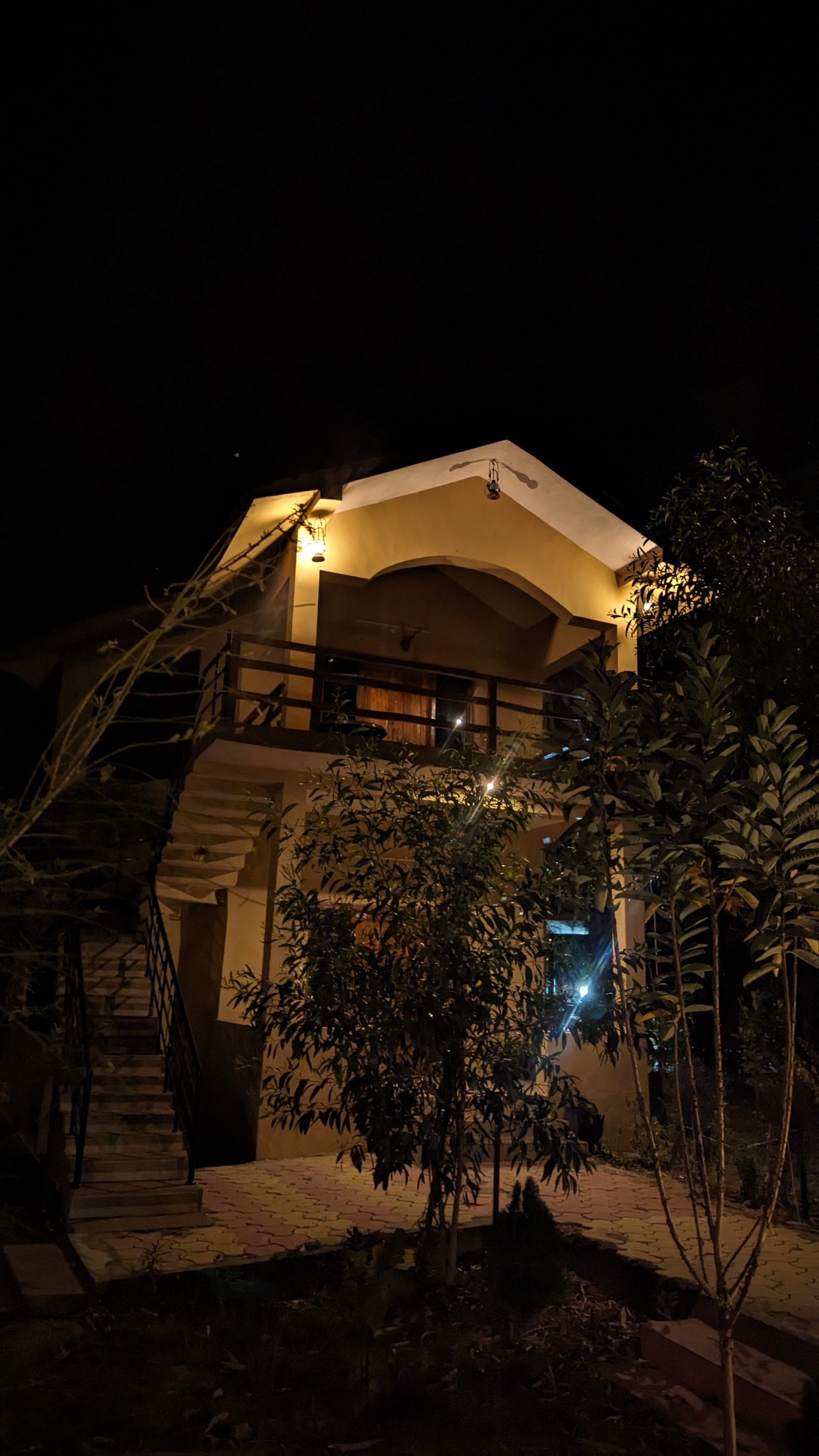 JUNGLE LORE - Tap to explore photos