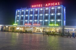 Hotel Apical