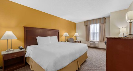 Best Western Executive Inn & Suites Room Type - 1 KING BED,NSMK,SMALRM,PETFRD,MICRFG,SHOW,FULL BREAKFAST Best Western Executive Inn & Suites Room Type - 1 KING BED,NSMK,SMALRM,PETFRD,MICRFG,SHOW,FULL BREAKFAST