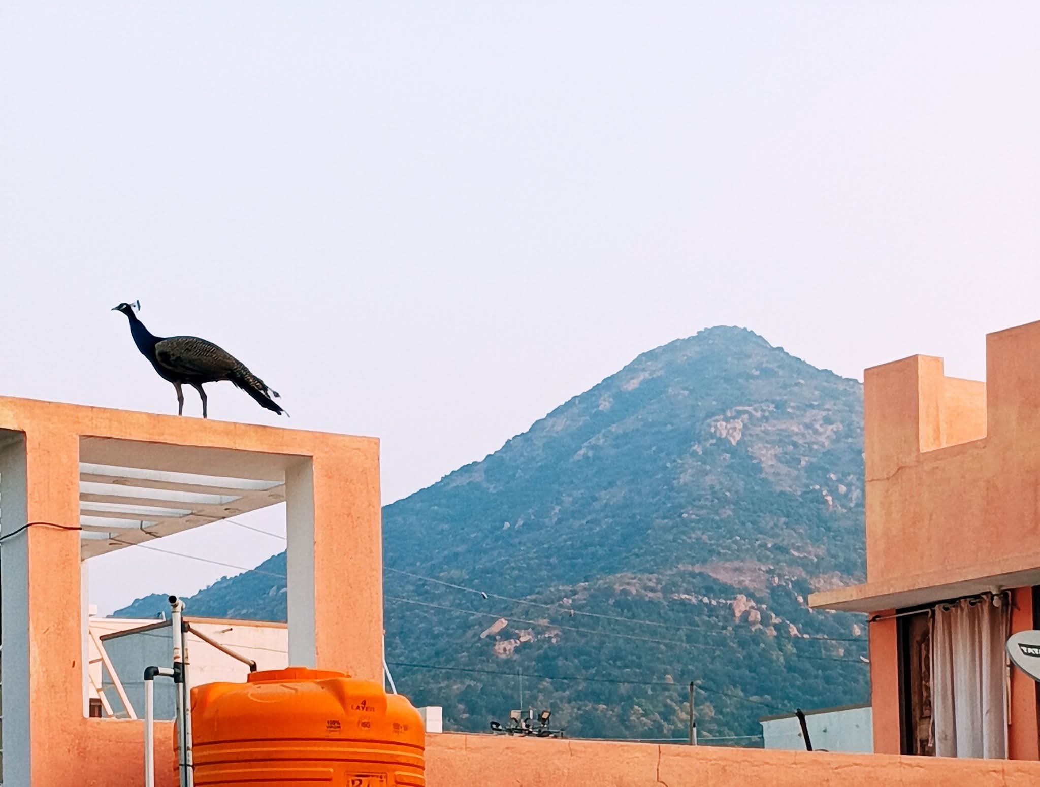 M M HOMESTAY - Tap to explore photos