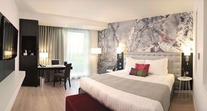 Radisson Blu Hotel East Midlands Airport Room Type - Standard Room