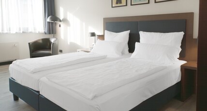 Garner Hotel FRANKFURT - PALMENGARTEN by IHG Room Type - 2 Single Standard