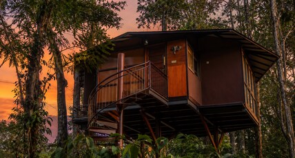 Pugmark Jungle Resort Room Type - Tree House Honeymoon Cottage with Jacuzzi Pugmark Jungle Resort Room Type - Tree House Honeymoon Cottage with Jacuzzi