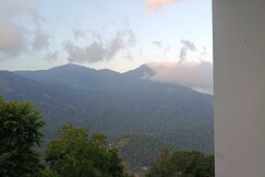Address of The pillow munnar
