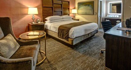 DoubleTree by Hilton Hotel Decatur Riverfront Room Type - 1 QUEEN BED ROOM
