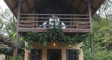 KaatiKaadu Room Type - Forest View Cottage -(Kaati)