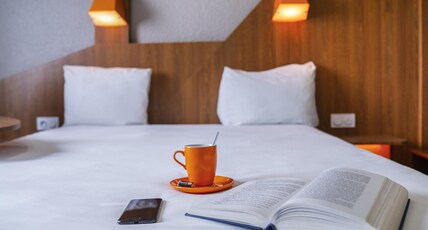 Ibis Styles Gien Room Type - Standard Room with 1 double bed