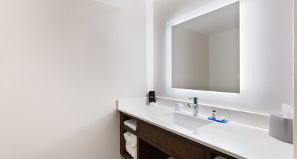 Holiday Inn Express Naperville Room Type - 1 King Bed 1 Bedroom Suite Sofa Bed