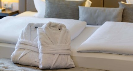 Pullman Munich Room Type - Superior Suite, living room and bedroom, largedouble bed, sofa bed, also ideal for families