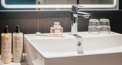 Novotel Rotterdam Brainpark Room Type - Executive Room with 1 double bed