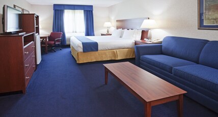 Holiday Inn Express DEFOREST (MADISON AREA) Room Type - 1 King Standard Sofa Bed