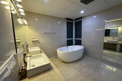 luxury master bedroom with bathtub