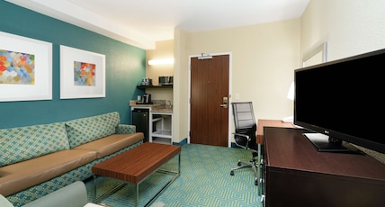 Hilton Garden Inn Dalton Room Type - 1 KING BED 1 BEDROOM SUITE