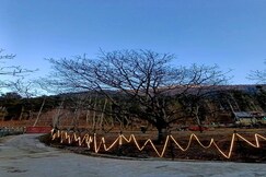 The Tree House Cottage