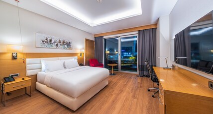 Holiday Inn ANKARA - CUKURAMBAR  Room Type - 1 King Standard Accessible