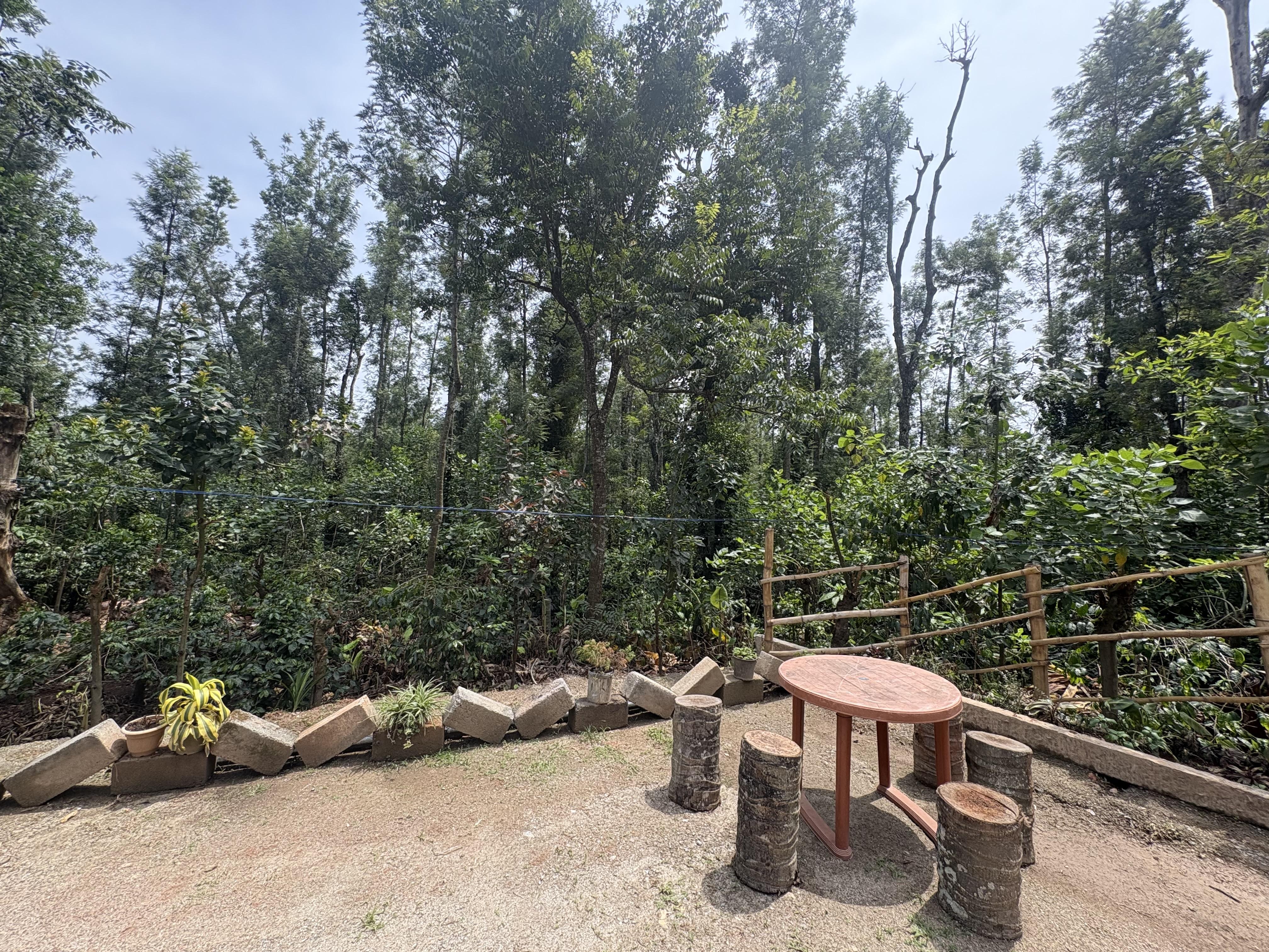 Neels Nest Homestay Resort - Tap to explore photos