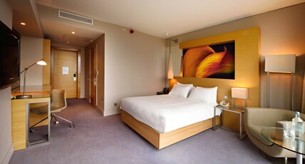 THE MANCHESTER DEANSGATE HOTEL by IHG Room Type - 1 Queen Classic Accessible Bath Shower City View