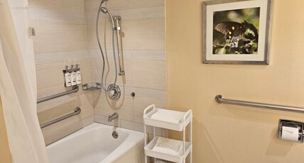 Holiday Inn Austin -Town Lake Room Type - 1 Double Mobil Access Tub Sofabed