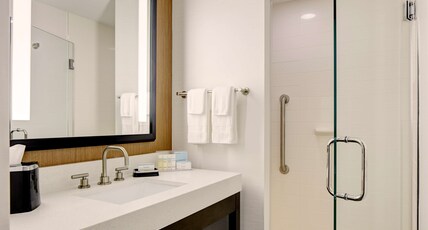 Hampton Inn Brooklyn Downtown NY Room Type - 1 KNG HEARING ACC NOSMOK
