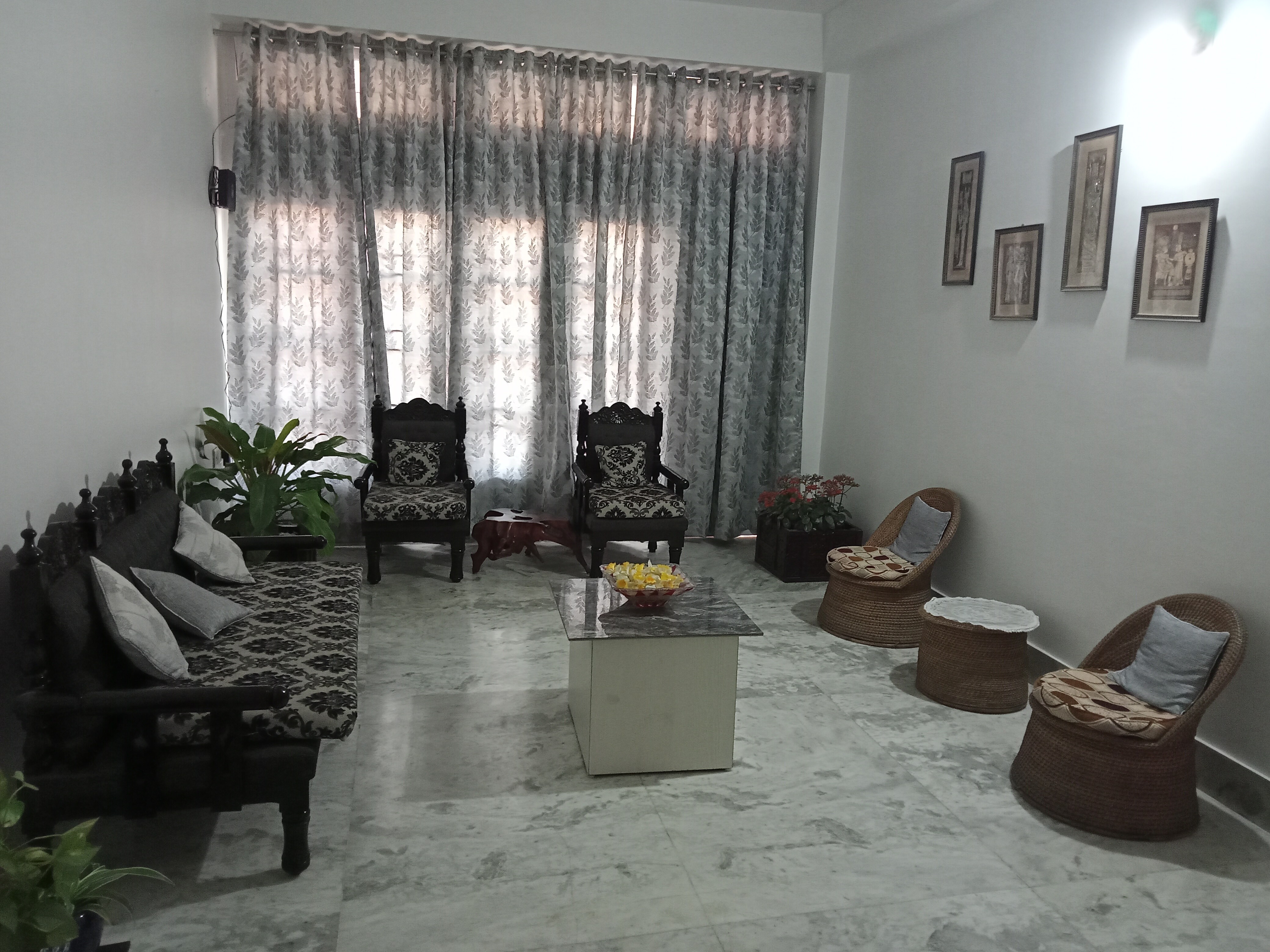 Homely Homestay - Tap to explore photos