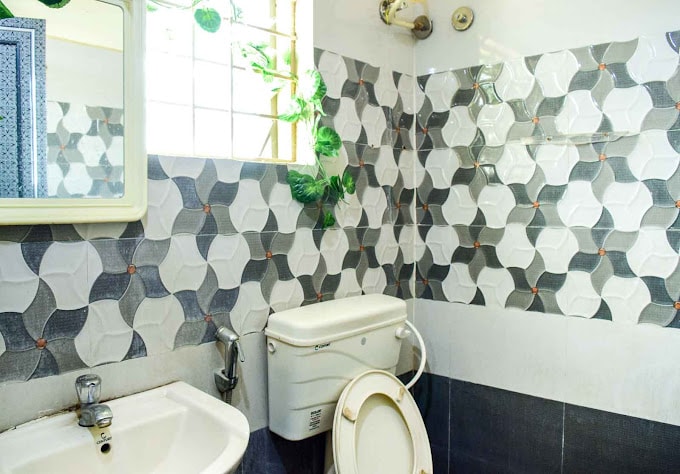 Z Express Cinnamon - Tap to explore photos