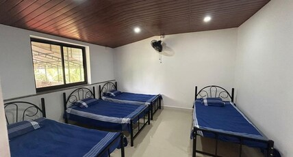 Nature's Harmony Room Type - AC 4 Bed Dorm