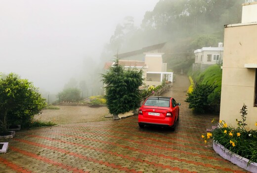 Misty Haven