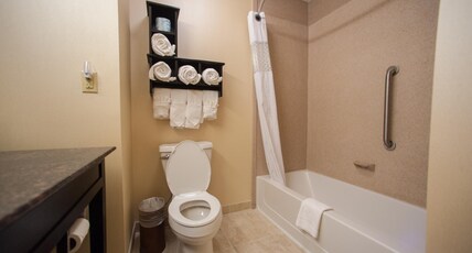 Hampton Inn by Hilton Fort Morgan Room Type - 1 KNG STUDIO SUITE NOSMOKE