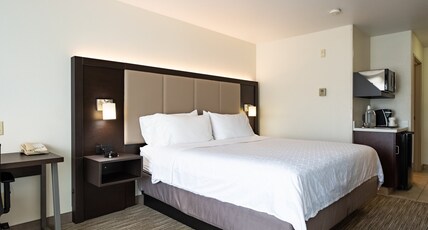 Holiday Inn Express Hotel & Suites Evanston Room Type - 1 King Suite