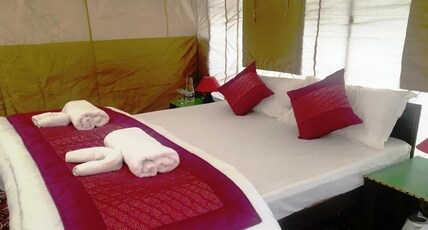 Paramount Camp | Room & Restaurant Room Type - Super Deluxe Tent