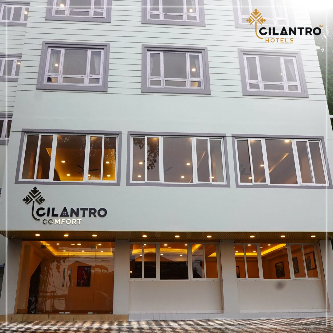 Cilantro Comfort - Tap to explore photos