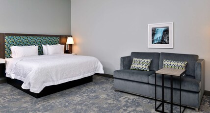 Hampton Inn by Hilton Cedar Falls Downtown Room Type - 1 KNG HR ACC FRG MIC SB NS