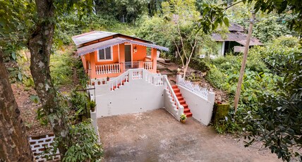 The Treehouse Room Type - The Treehouse
