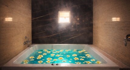 ELEGANT RESIDENCY. Room Type - Moon Light Jaccuzzi