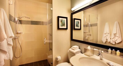 DoubleTree by Hilton Hotel Alana - Waikiki Beach Room Type - PARK OCEAN VIEW 1 KING BED