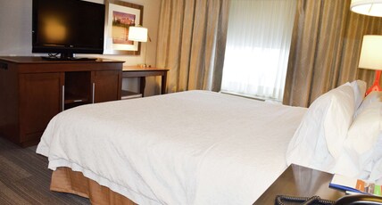 Hampton Inn & Suites by Hilton Calgary University NW Room Type - KING SUITE NONSMOKING