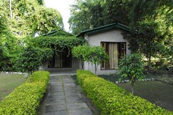 Falcon Nest Nature Resort Corbett