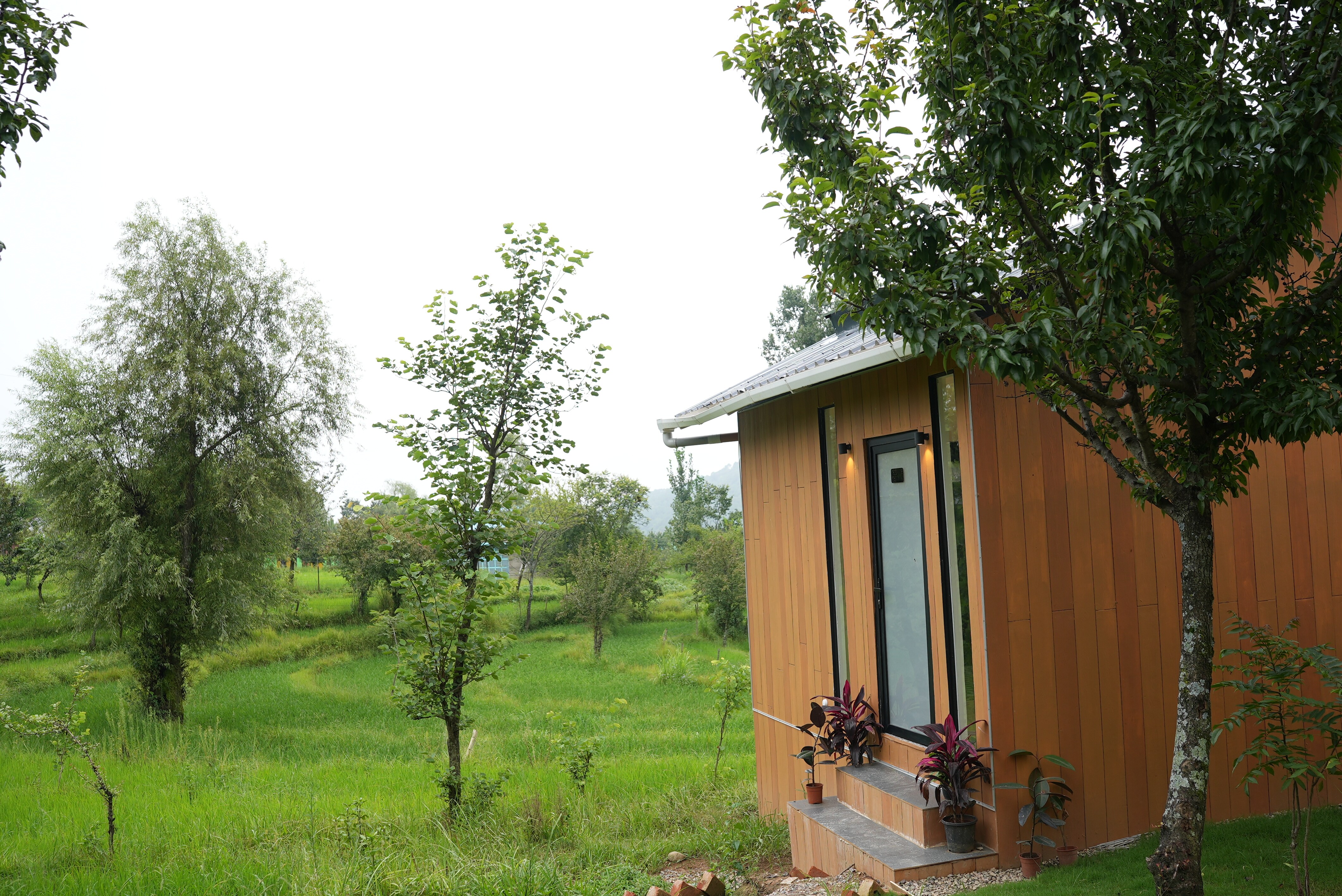 The Solace - Tap to explore photos