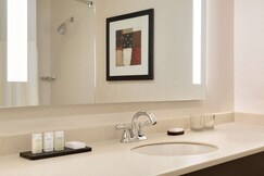 Embassy Suites Chicago - North Shore/Deerfield