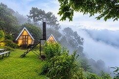 Address of Camp Lights Munnar