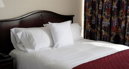 Hotel Shree Ram Room Type - Non A/C Room