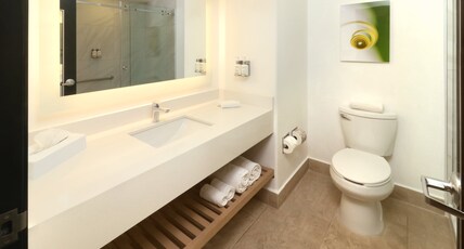 Holiday Inn TIJUANA ZONA RIO Room Type - 1 King Standard Walk in Shower Holiday Inn TIJUANA ZONA RIO Room Type - 1 King Standard Walk in Shower
