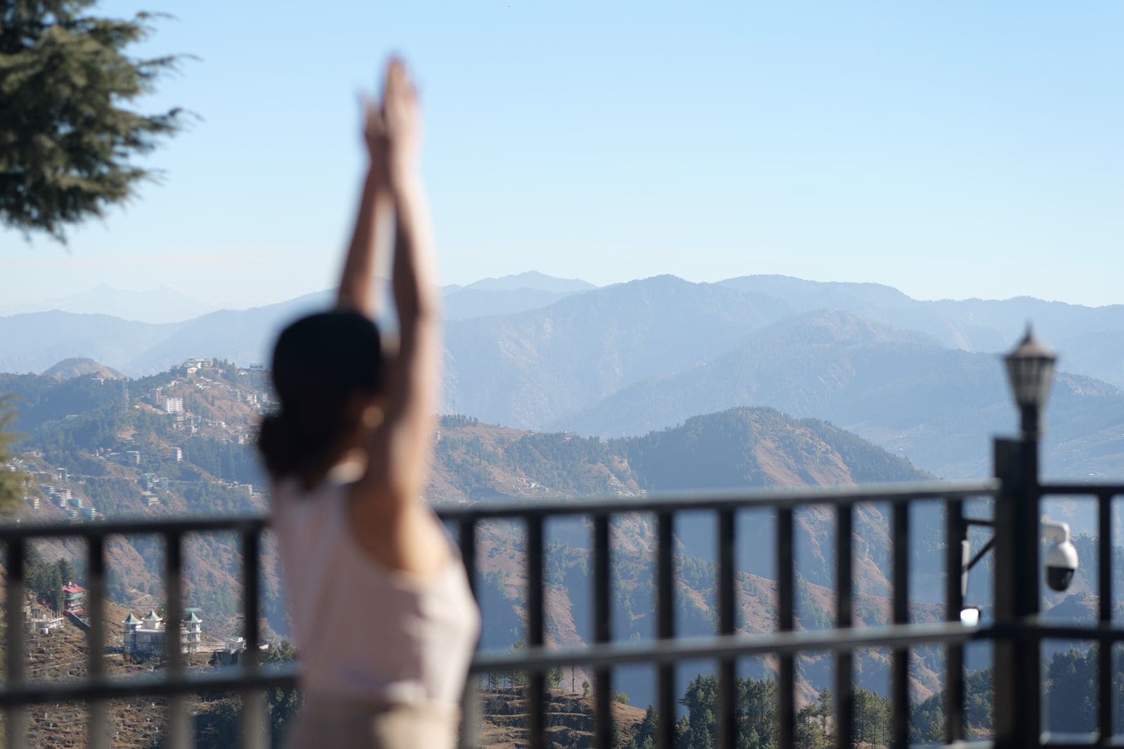 dusitD2 Fagu,Shimla - Tap to explore photos