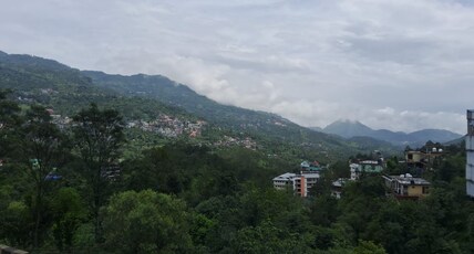 Hotel Anji Solan Hills Room Type - Deluxe