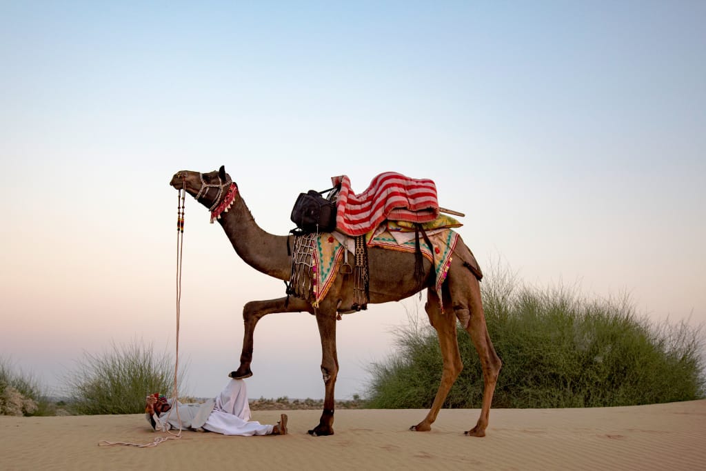 Hindustan Desert Camp - Tap to explore photos
