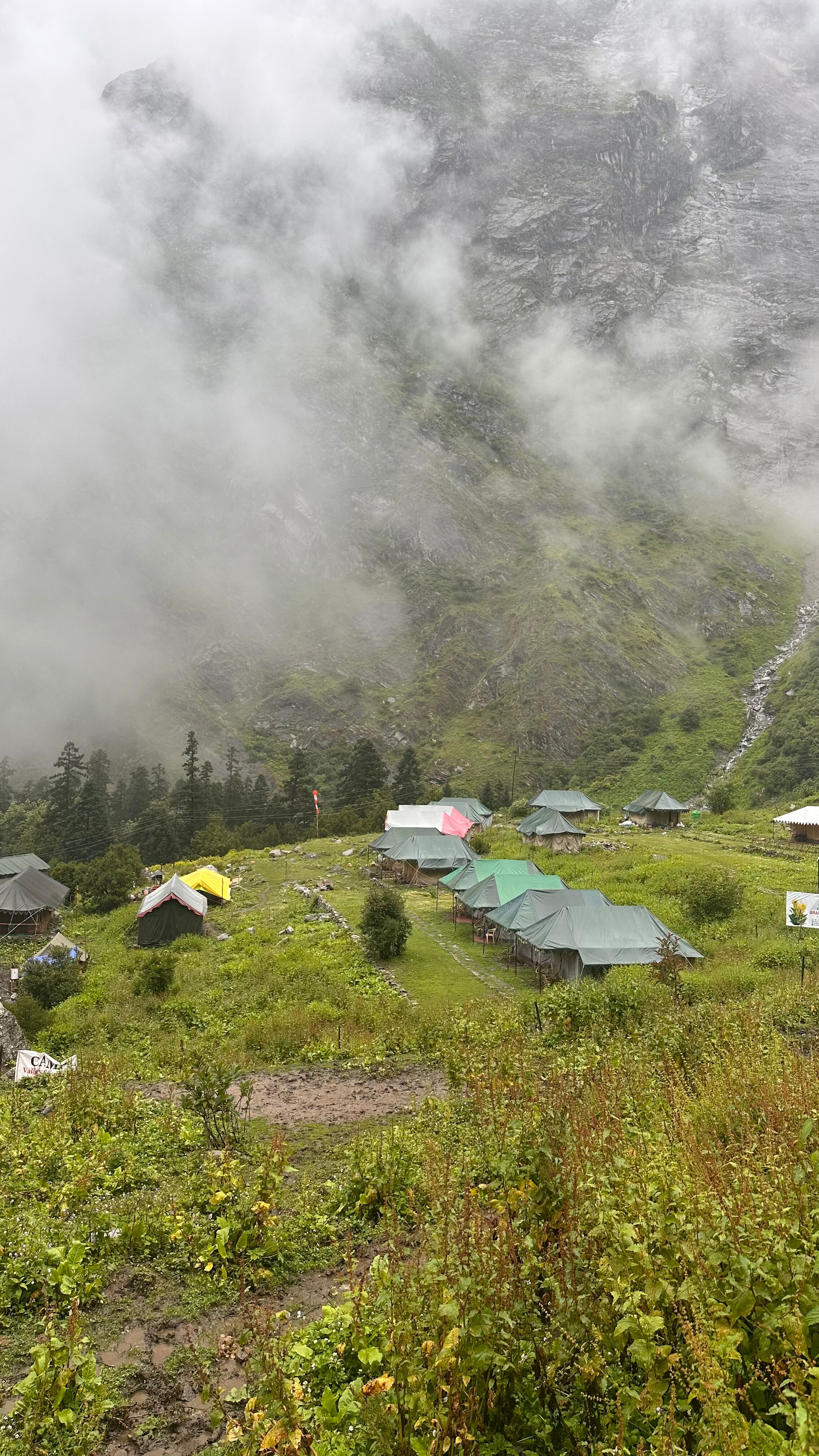 Valley of Flowers Camp, Ghangria - Tap to explore photos