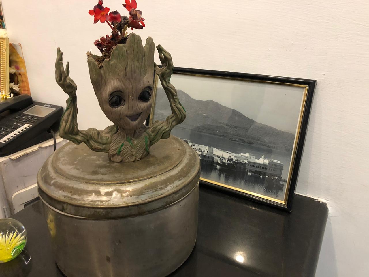 Archway BnB - Tap to explore photos