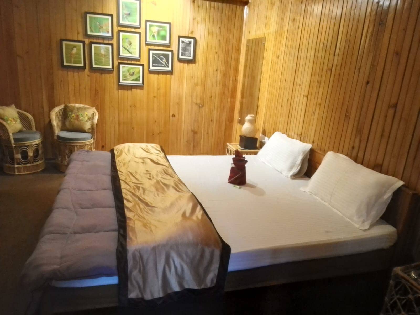 Latitude Boutique Rooms - Tap to explore photos