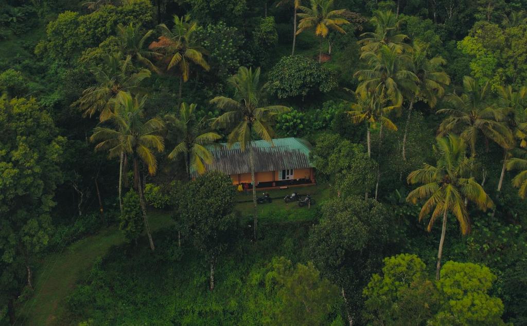 Punarjani Nature Friendly Resort - Tap to explore photos